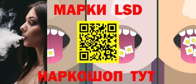гашик Моздок
