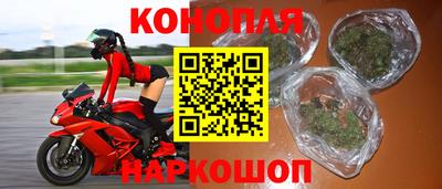 прущие крисы Можга