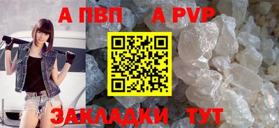 гашик Моздок