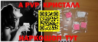 гашик Моздок
