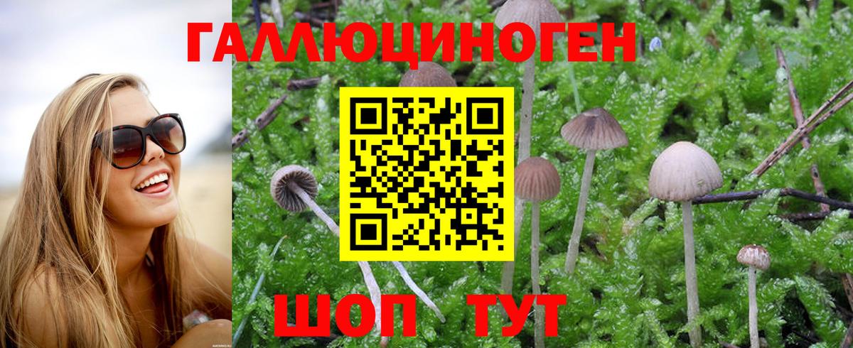 Галлюциногенные грибы MAGIC MUSHROOMS  магазин продажи   Галлюциногенные грибы прущие грибы  Сургут  Вход с VPN 